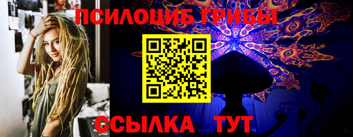 Галлюциногенные грибы Psilocybine cubensis  Вход с VPN  Псилоцибиновые грибы ЛСД  Дубна 